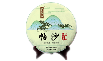 帕沙.png